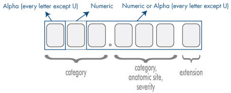 ICD 10 breakdown